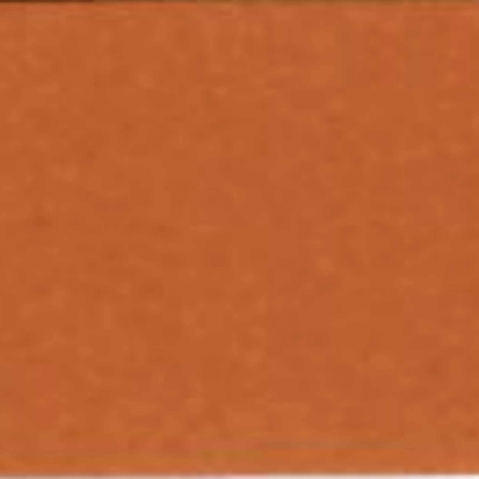 PET-A4442 AF PUMPKIN