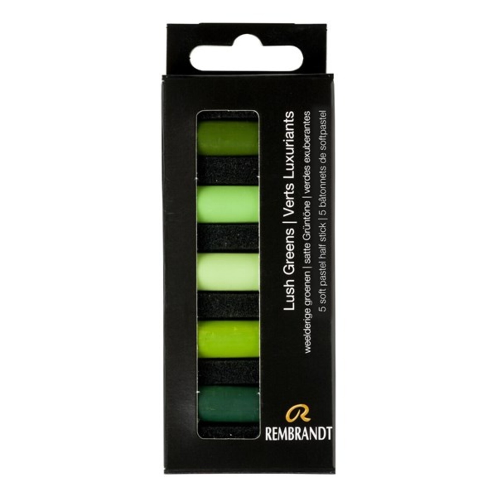 REMBRANDT REMBRANDT SOFT PASTEL MICRO SET/5 LUSH GREENS