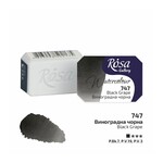 ROSA GALLERY WATERCOLOUR PAN 2.5ML BLACK GRAPE #747