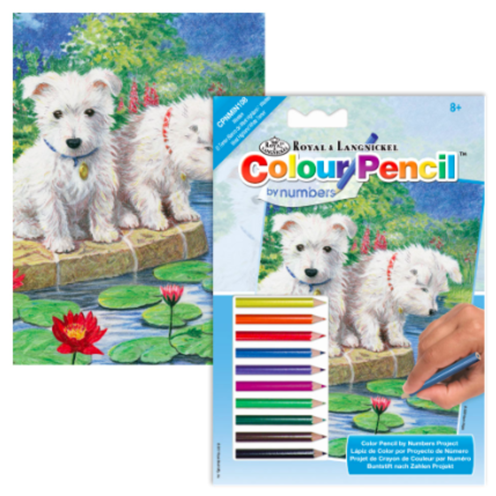 MINI COLOUR BY NUMBERS WESTIES