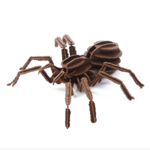 HANDS CRAFT 3D PAPER PUZZLE SPIDER