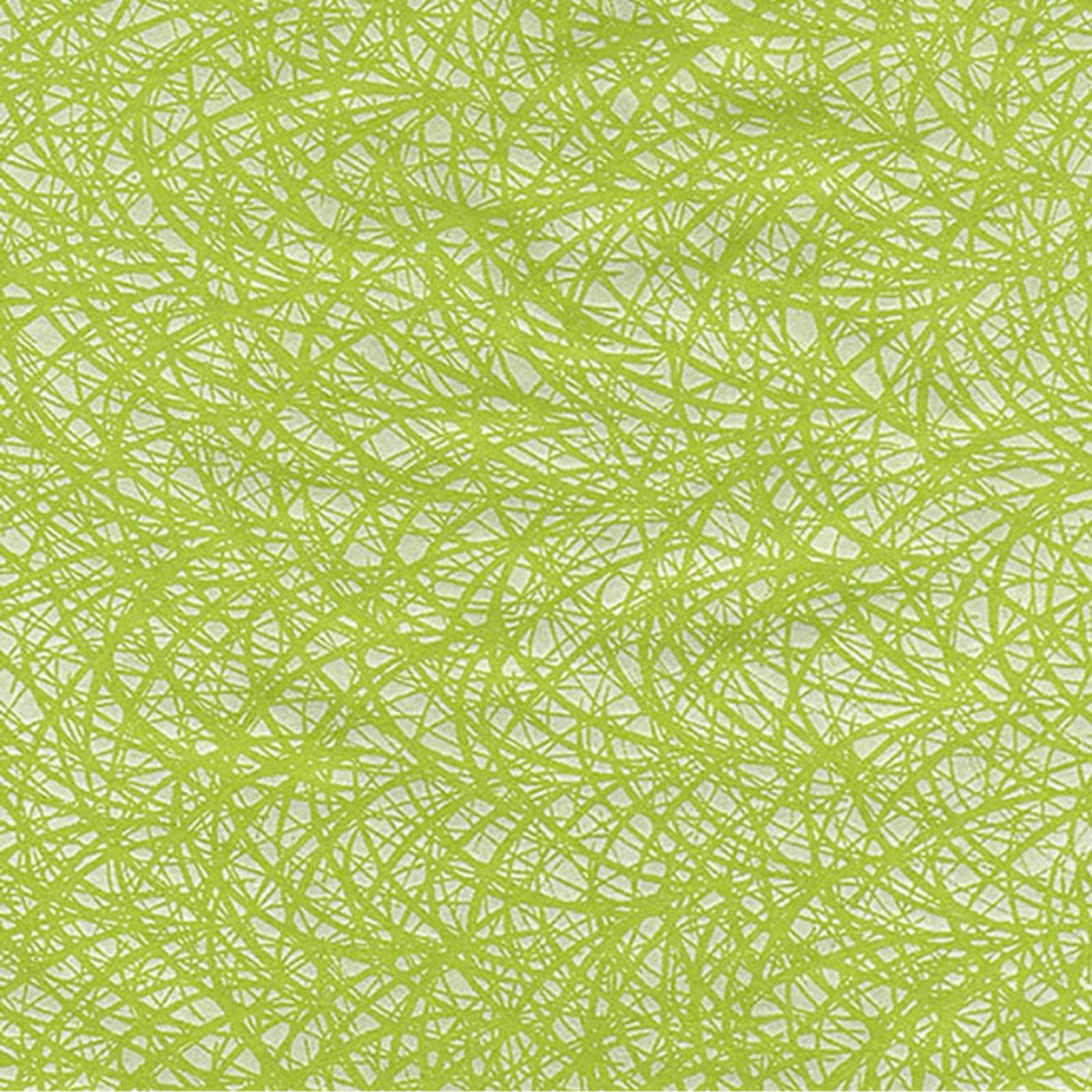 THE JAPANESE PAPER PLACE PEARLIZED PAPER GRASSES LIME 21X31