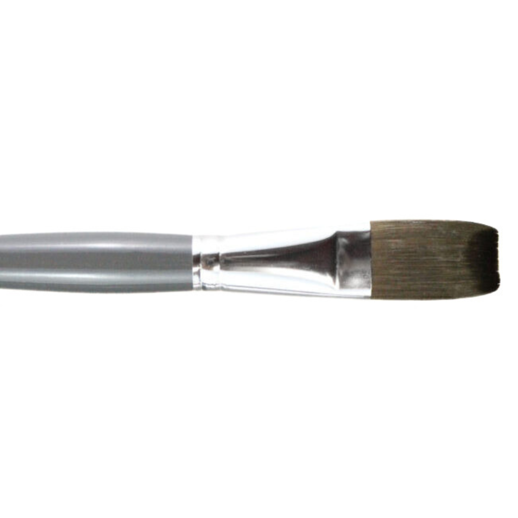 HEINZ JORDAN BRUSH SERIES 6400F MIGHTLON FLAT 12
