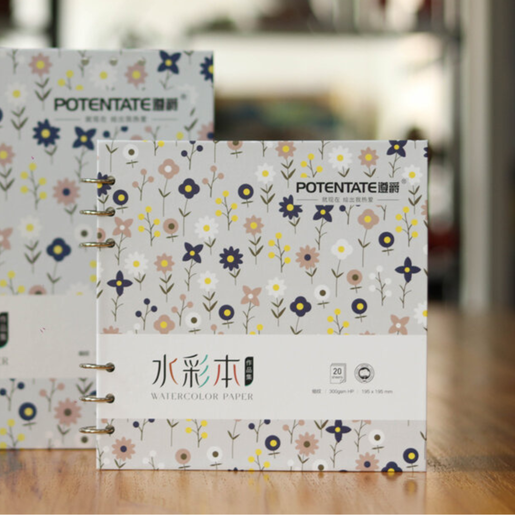 TRI ART POTENTATE WATERCOLOUR COIL BOUND 140LB HP 10X10" 20/SHT