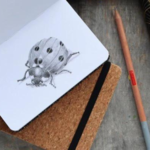 Journals + Notebooks