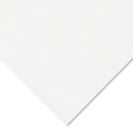 CANSON CANSON COLORLINE 184LB 19X25 WHITE