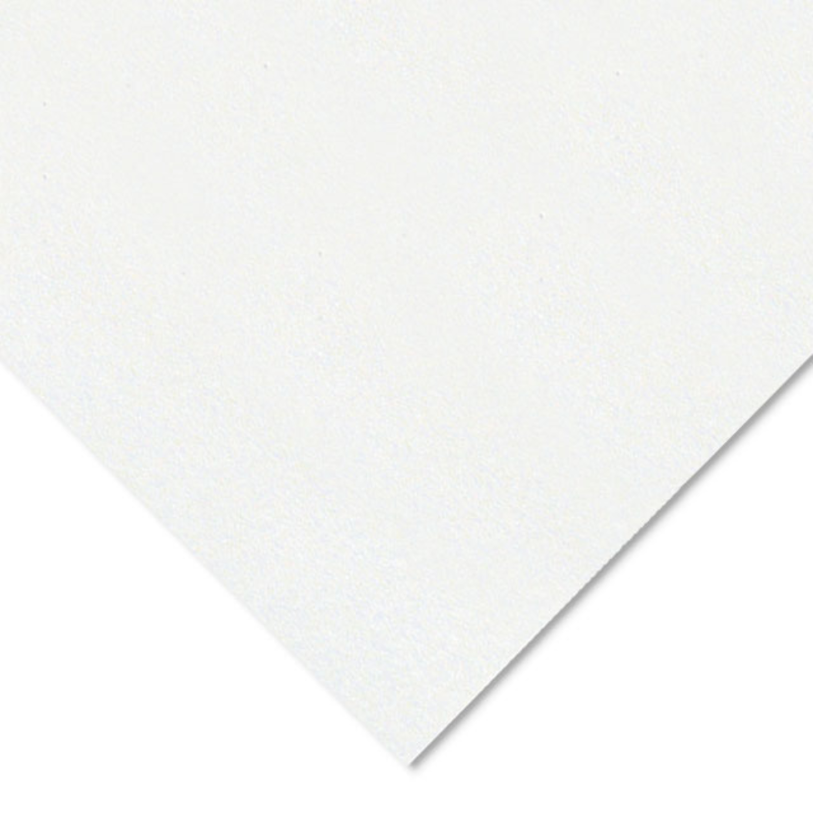 CANSON CANSON COLORLINE 184LB 19X25 WHITE