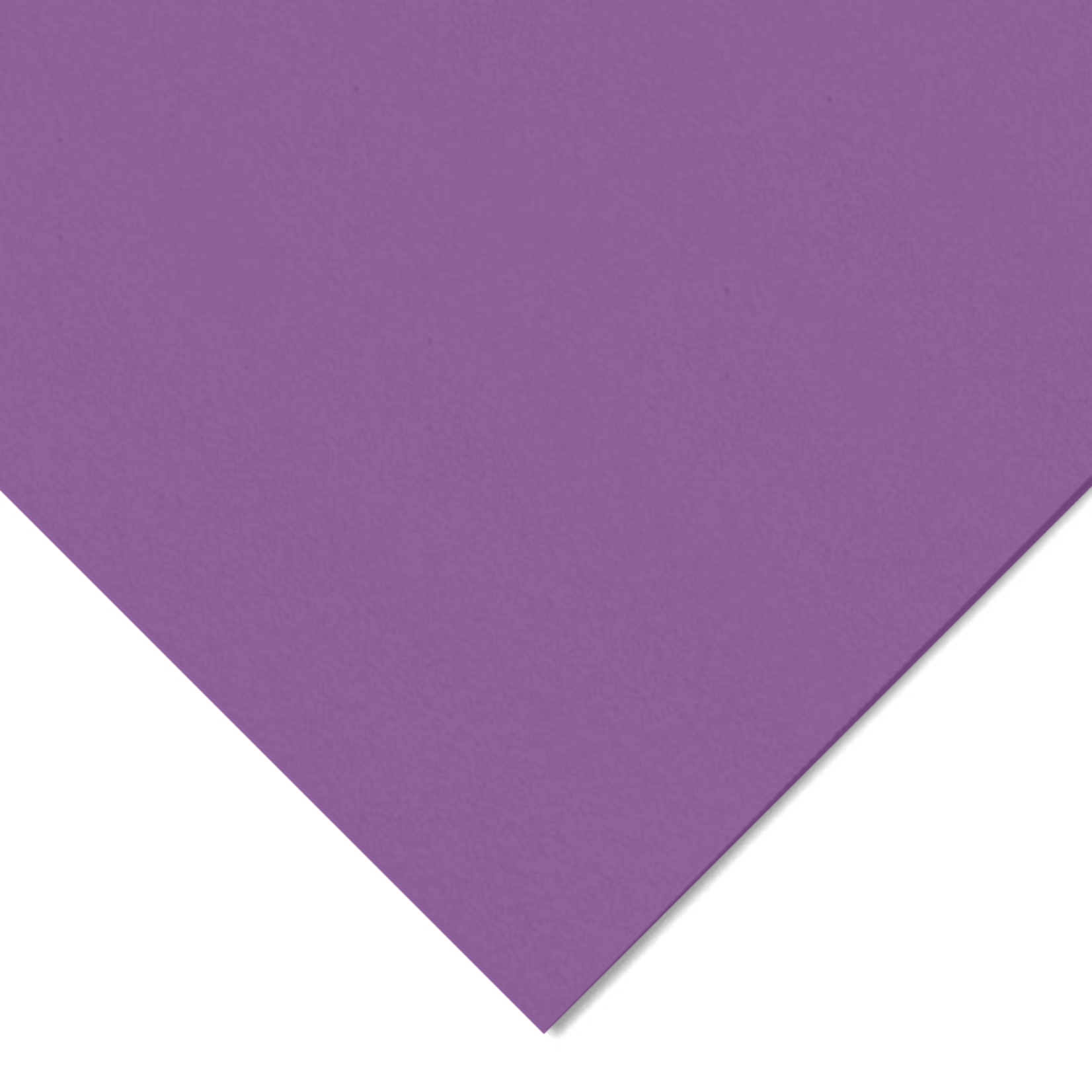 CANSON CANSON COLORLINE 184LB 19X25 VIOLET