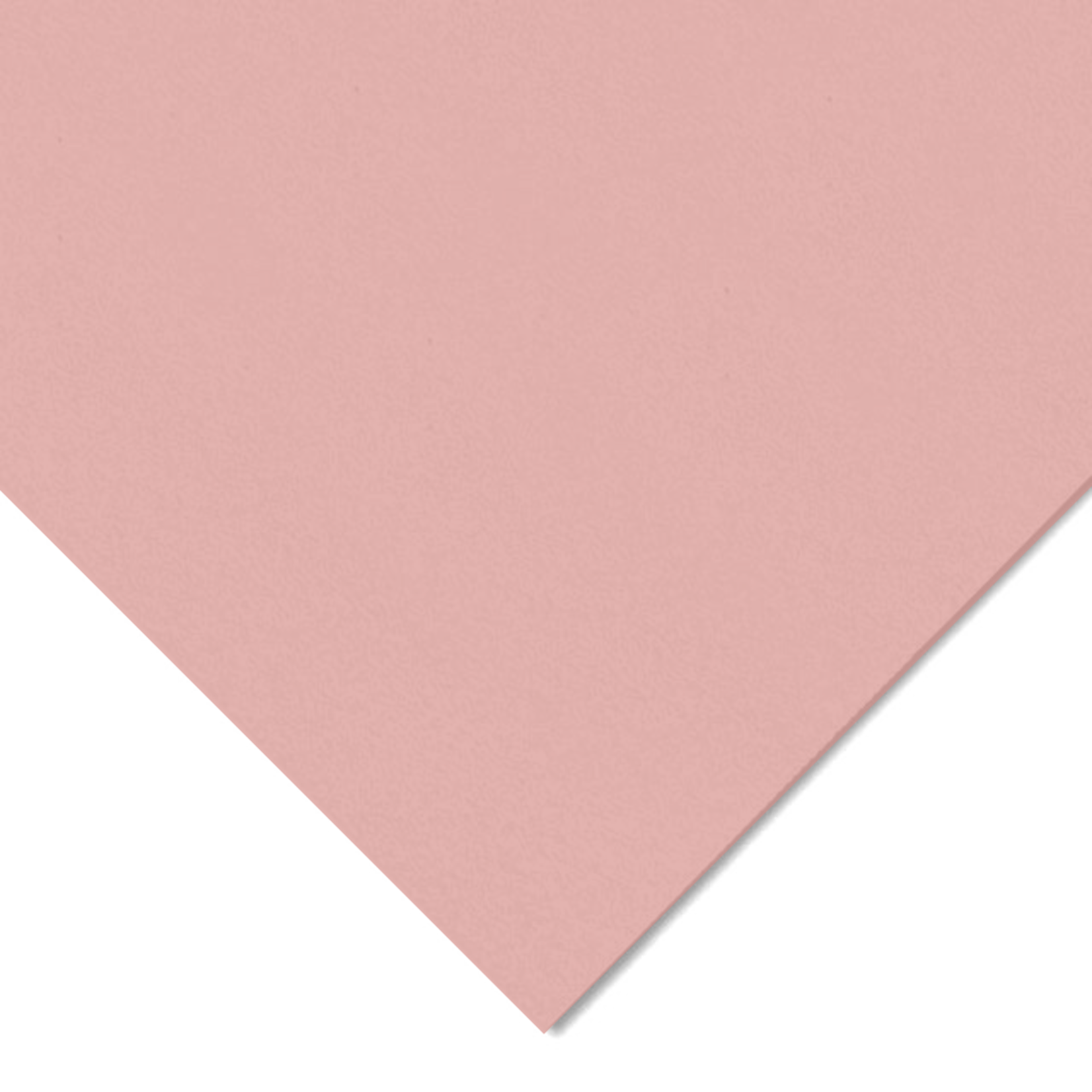 CANSON CANSON COLORLINE 184LB 19X25 ROSE PETAL