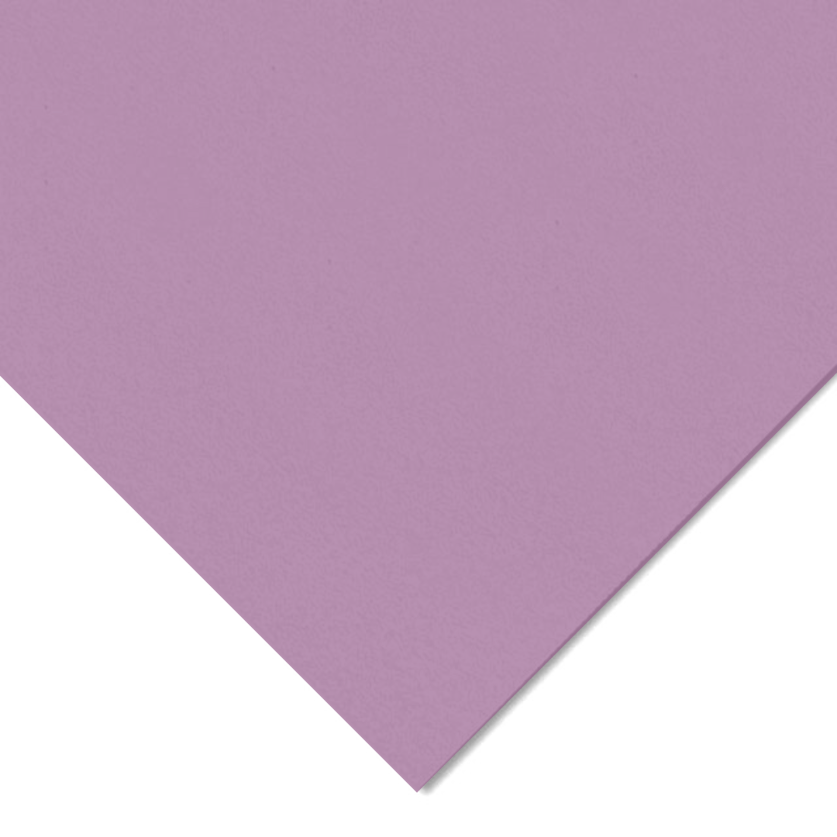 CANSON CANSON COLORLINE 184LB 19X25 LILAC