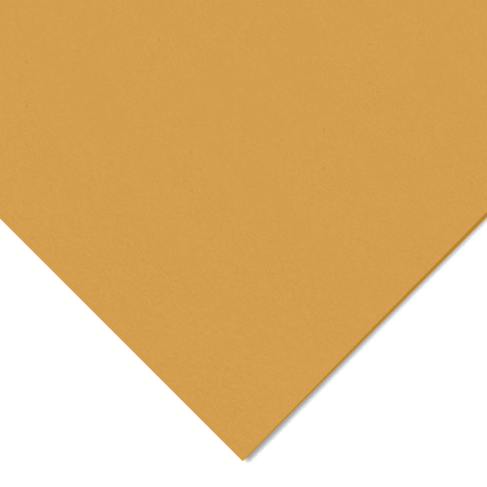 CANSON CANSON COLORLINE 184LB 19X25 LEATHER