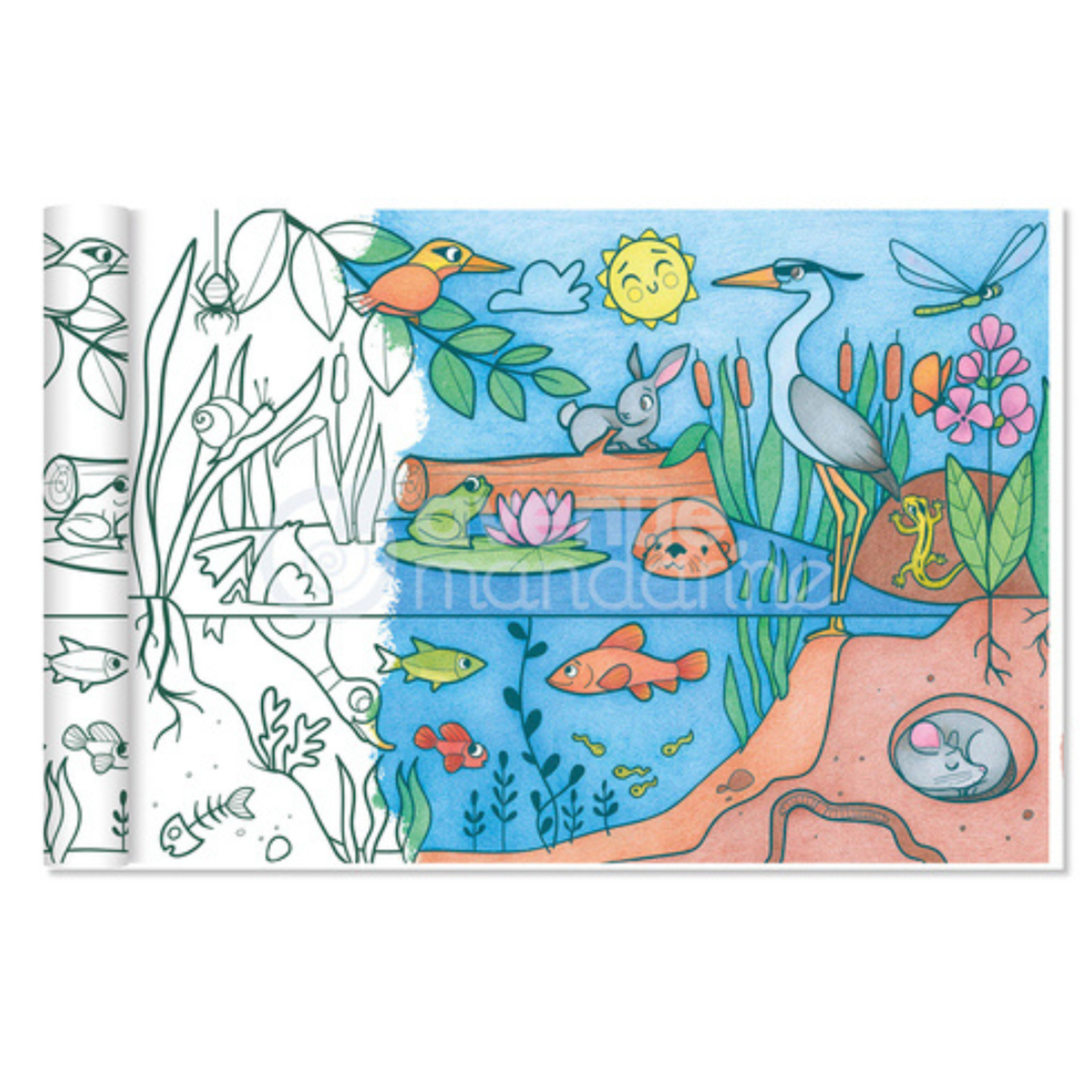 GRAFFY ROLL ECOSYSTEM COLOURING ROLL 14"x16FT