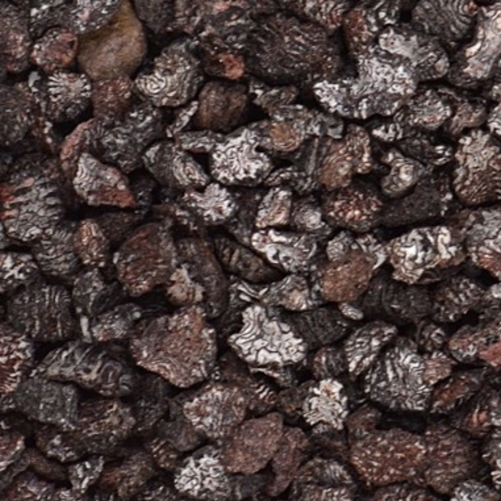 KAMA NATURAL GENUINE COCHINEAL 1/4OZ