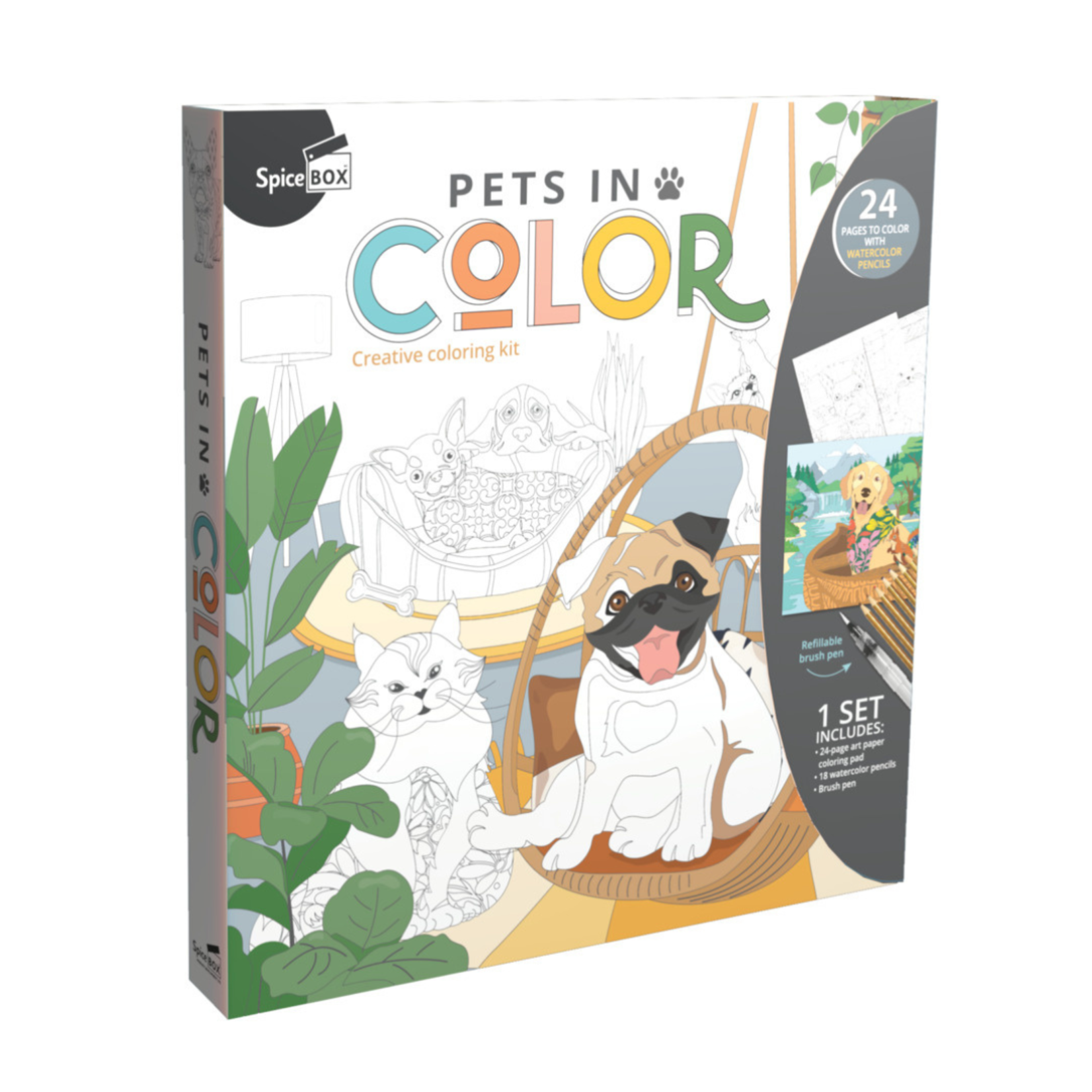 SPICEBOX SKETCH PLUS PETS IN COLOUR KIT