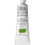 WINSOR NEWTON WINSOR & NEWTON ARTISTS' OIL 37ML SAP GREEN