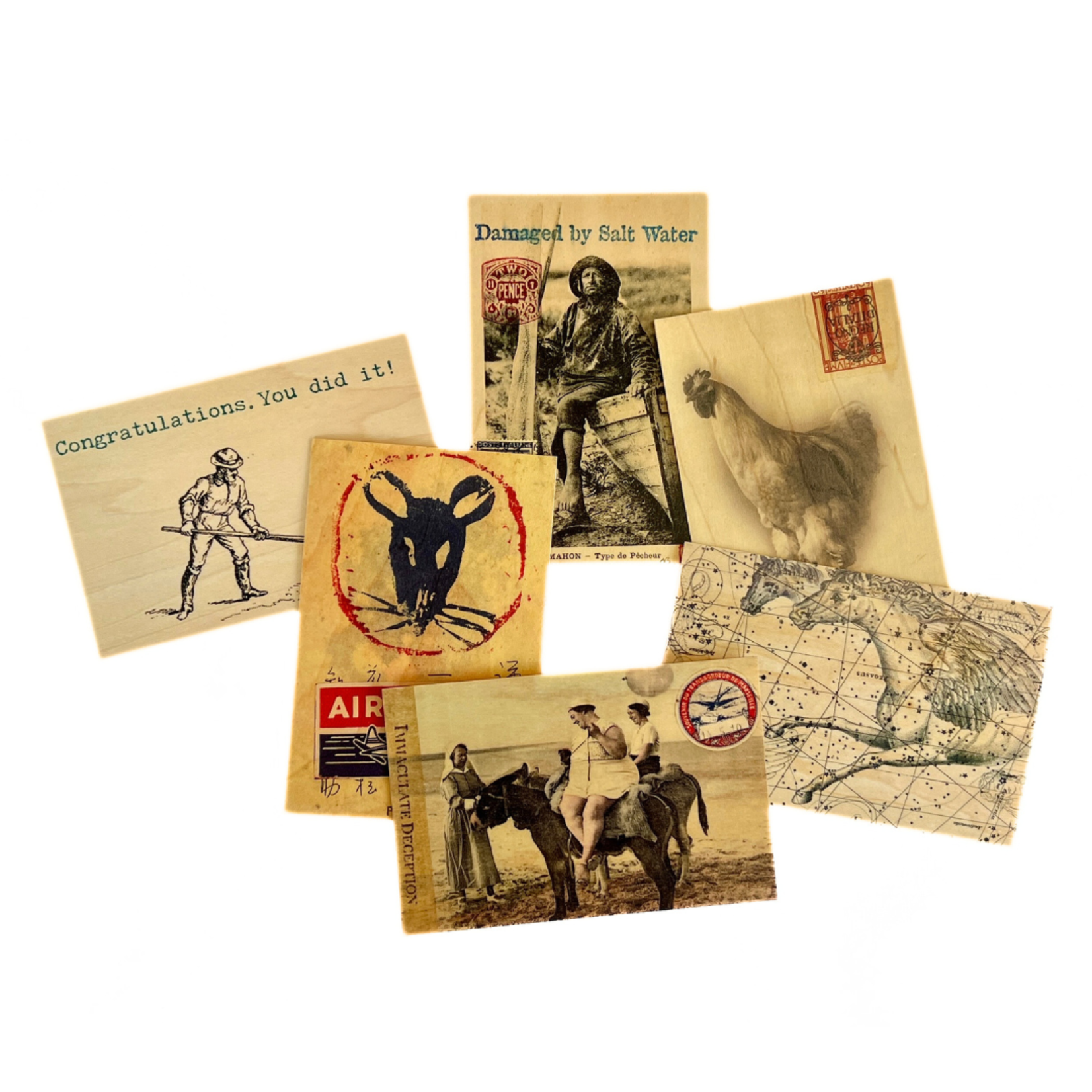 CEDAR MOUNTAIN WOOD POSTCARDS