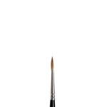 WINSOR & NEWTON BRUSH SERIES 7 ROUND 2