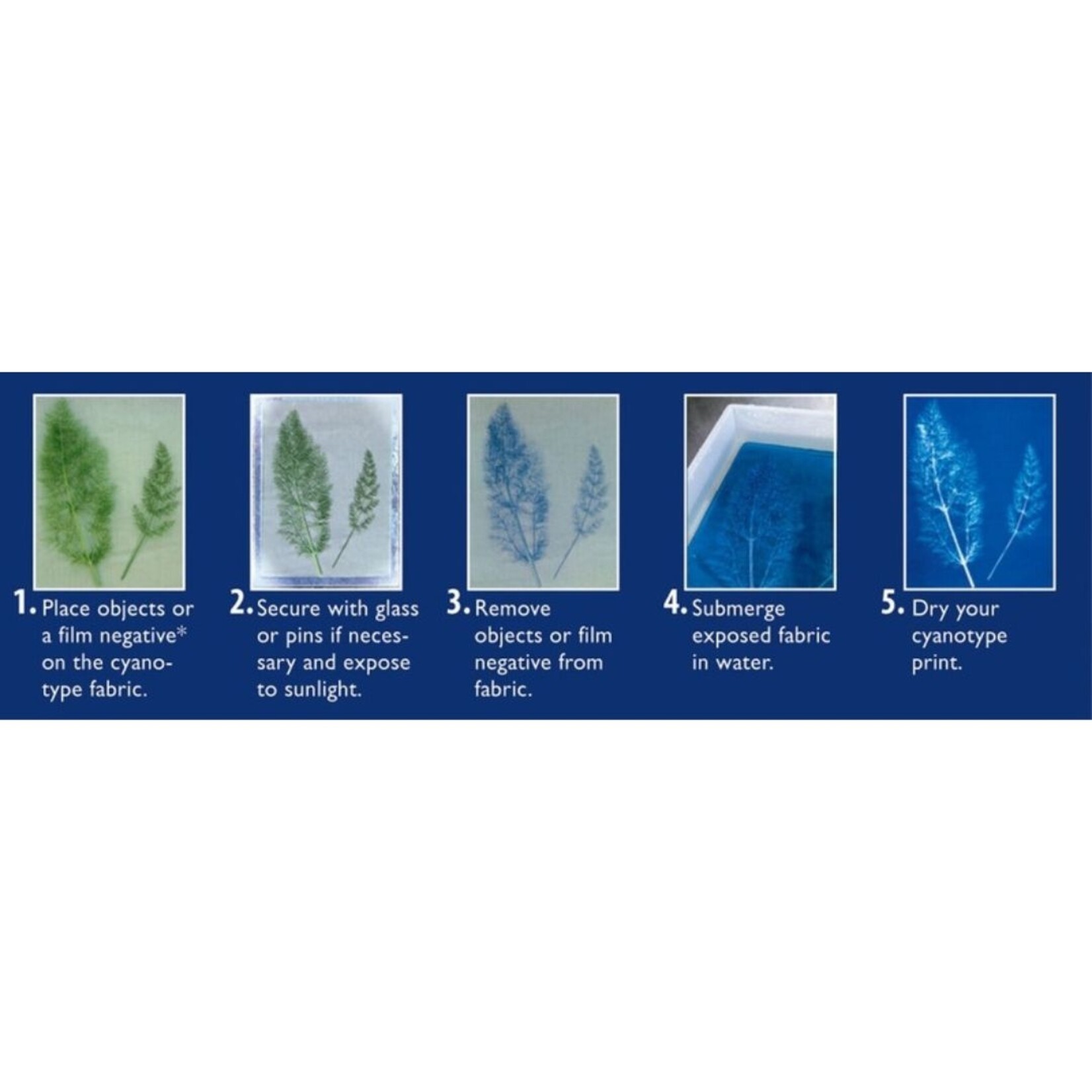JACQUARD JACQUARD CYANOTYPE SENSITIZER SET