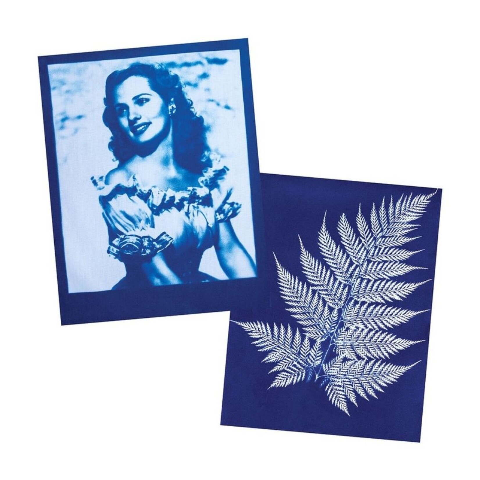 JACQUARD JACQUARD CYANOTYPE SENSITIZER SET