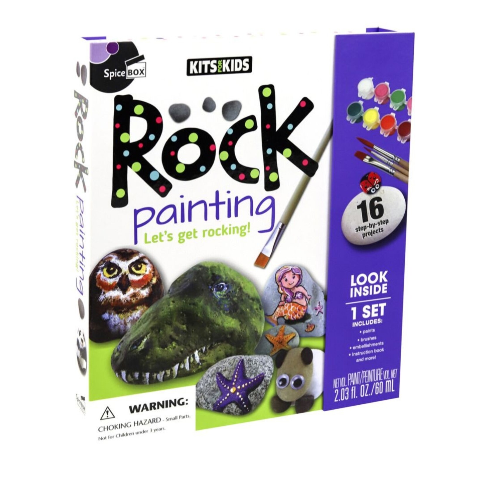 SPICEBOX KITS FOR KIDS ROCK PAINTING KIT