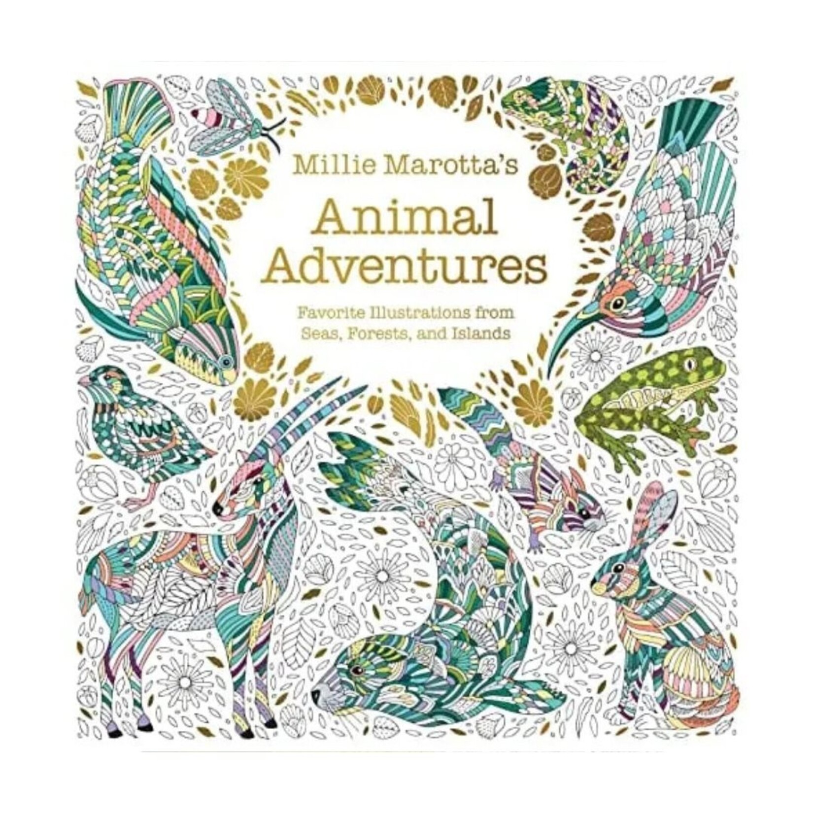 MILLIE MAROTTA ANIMAL ADVENTURES COLOURING BOOK