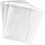 Clear Bags + Plastic Sleeves