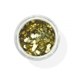 SNAZAROO BIO GLITTER 3G CHUNKY GOLD