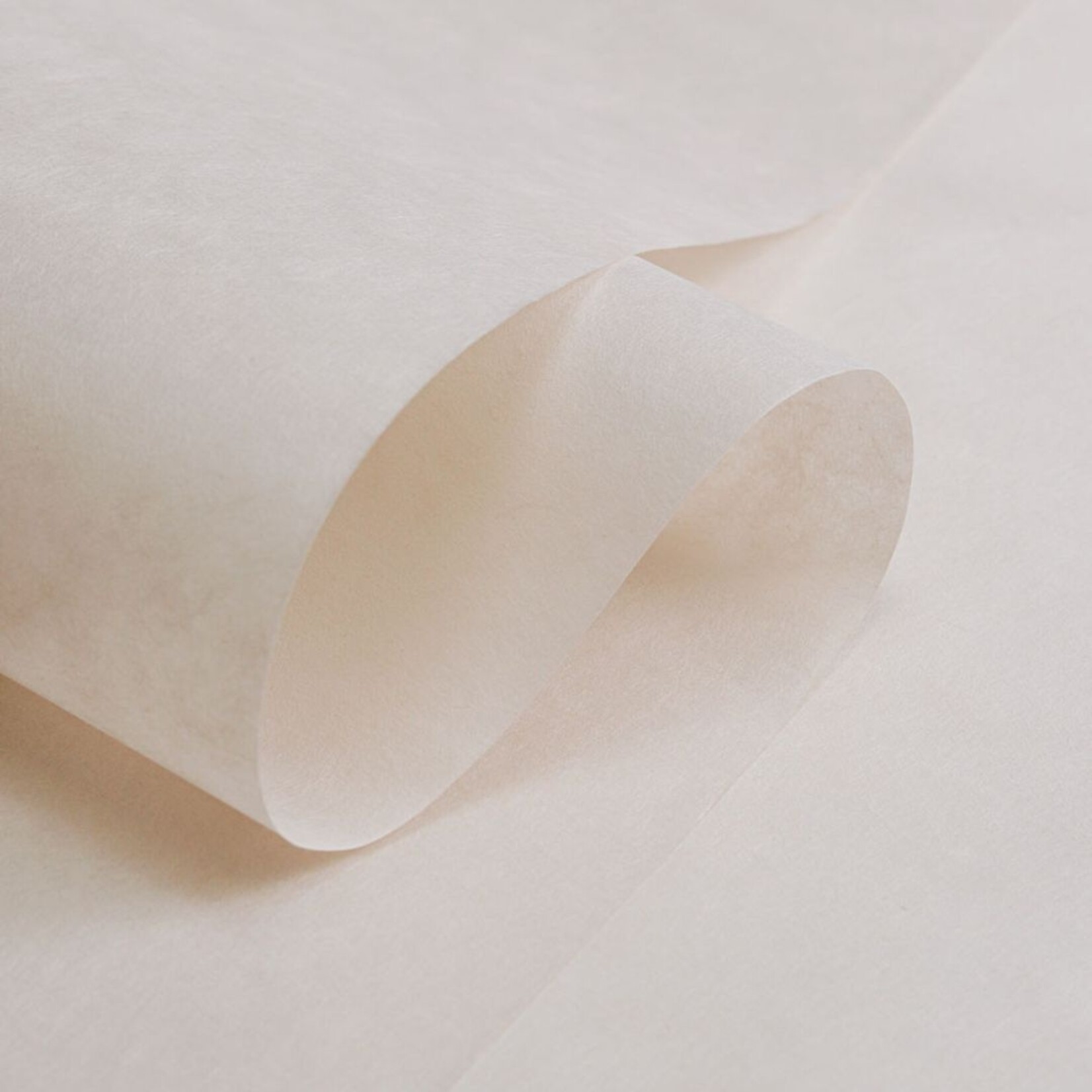 USU KUCHI 45G 25X37"