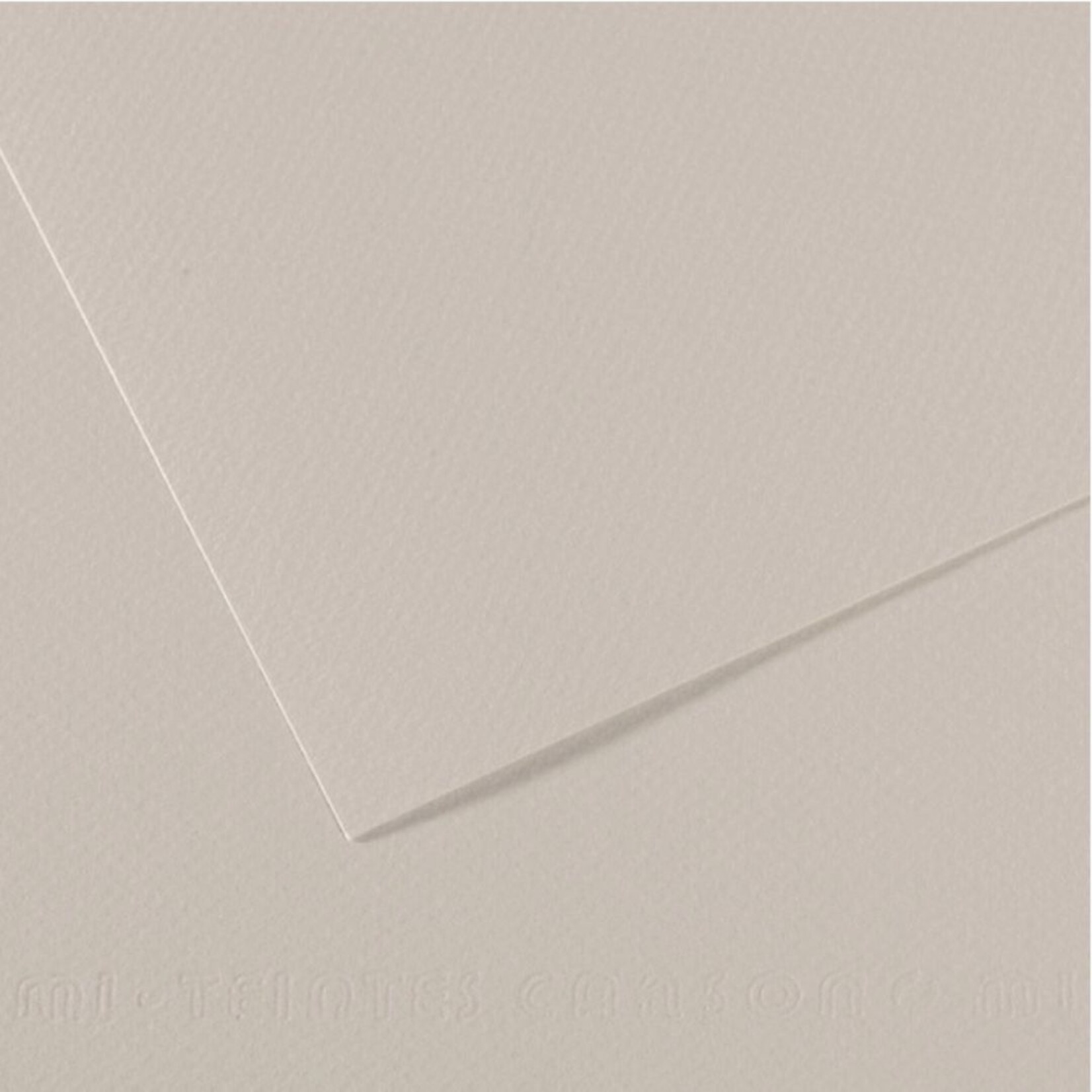 CANSON MI-TEINTES 98LB 120 PEARL GREY 19X25"