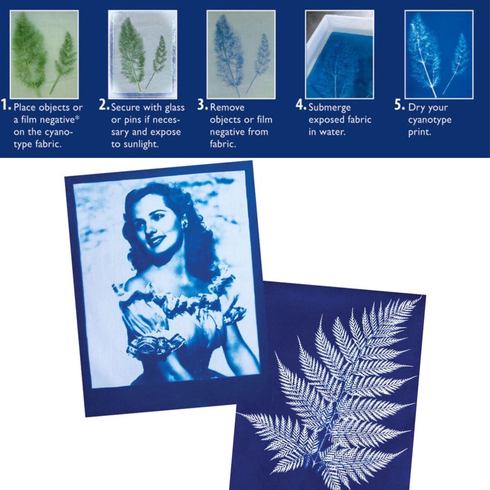 JACQUARD JACQUARD POTASSIUM FERRICYANIDE 8OZ