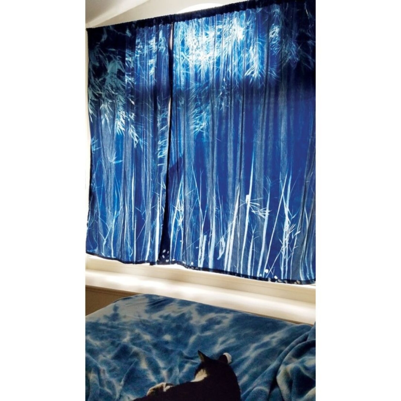JACQUARD JACQUARD CYANOTYPE PRETREATED MURAL SHEET 5'X7'