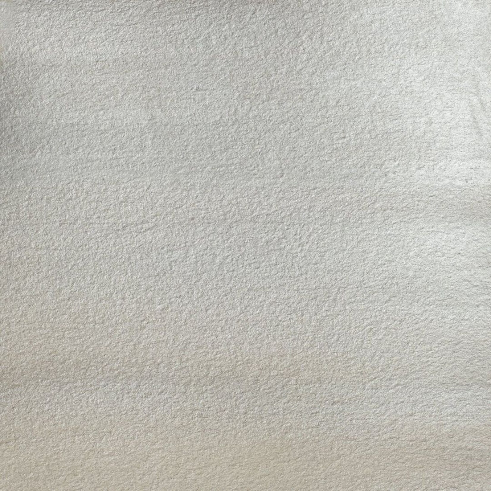 COTMAN WATERCOLOUR 8ML SILVER