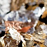 Leafing & Accessories