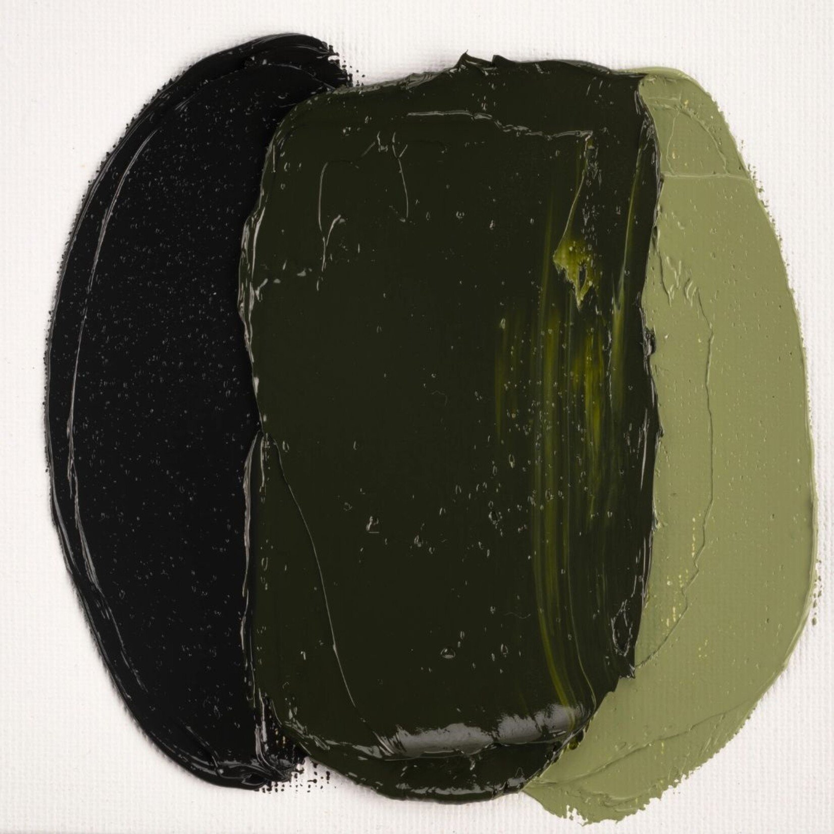 COBRA STUDY WATER MIXABLE OIL 40ML OLIVE GREEN 620