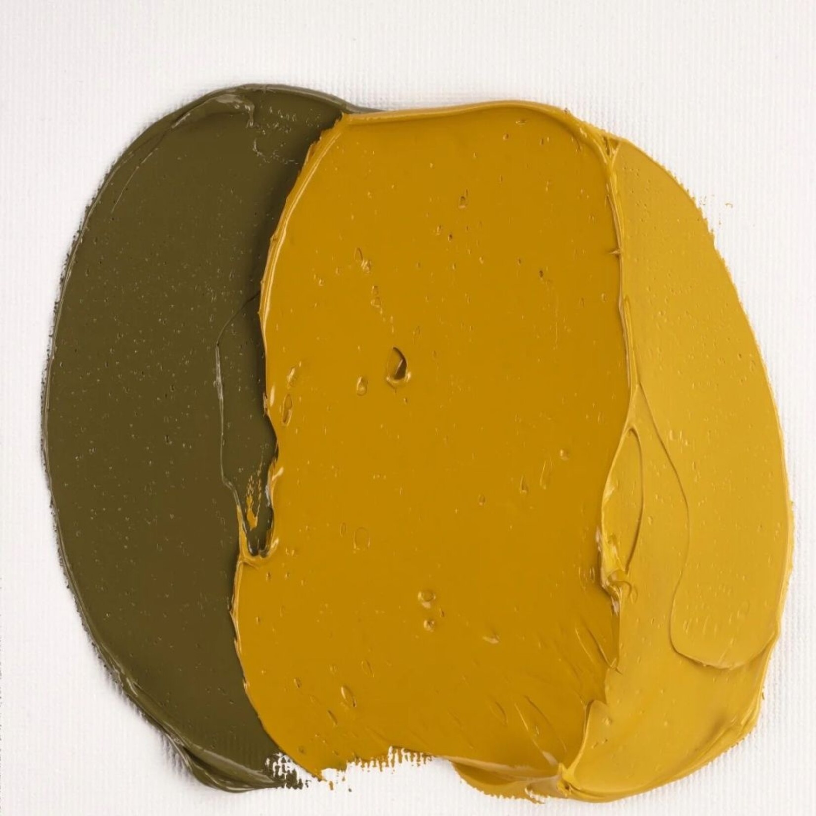COBRA STUDY WATER MIXABLE OIL 40ML YELLOW OCHRE 227