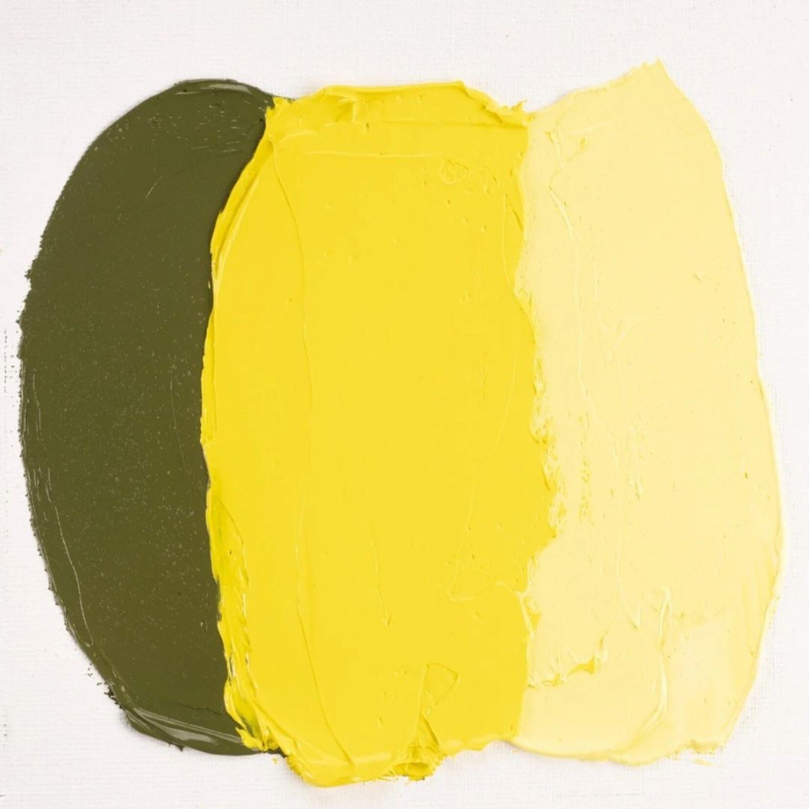 COBRA STUDY WATER MIXABLE OIL 40ML PERMANENT LEMON YELLOW 254