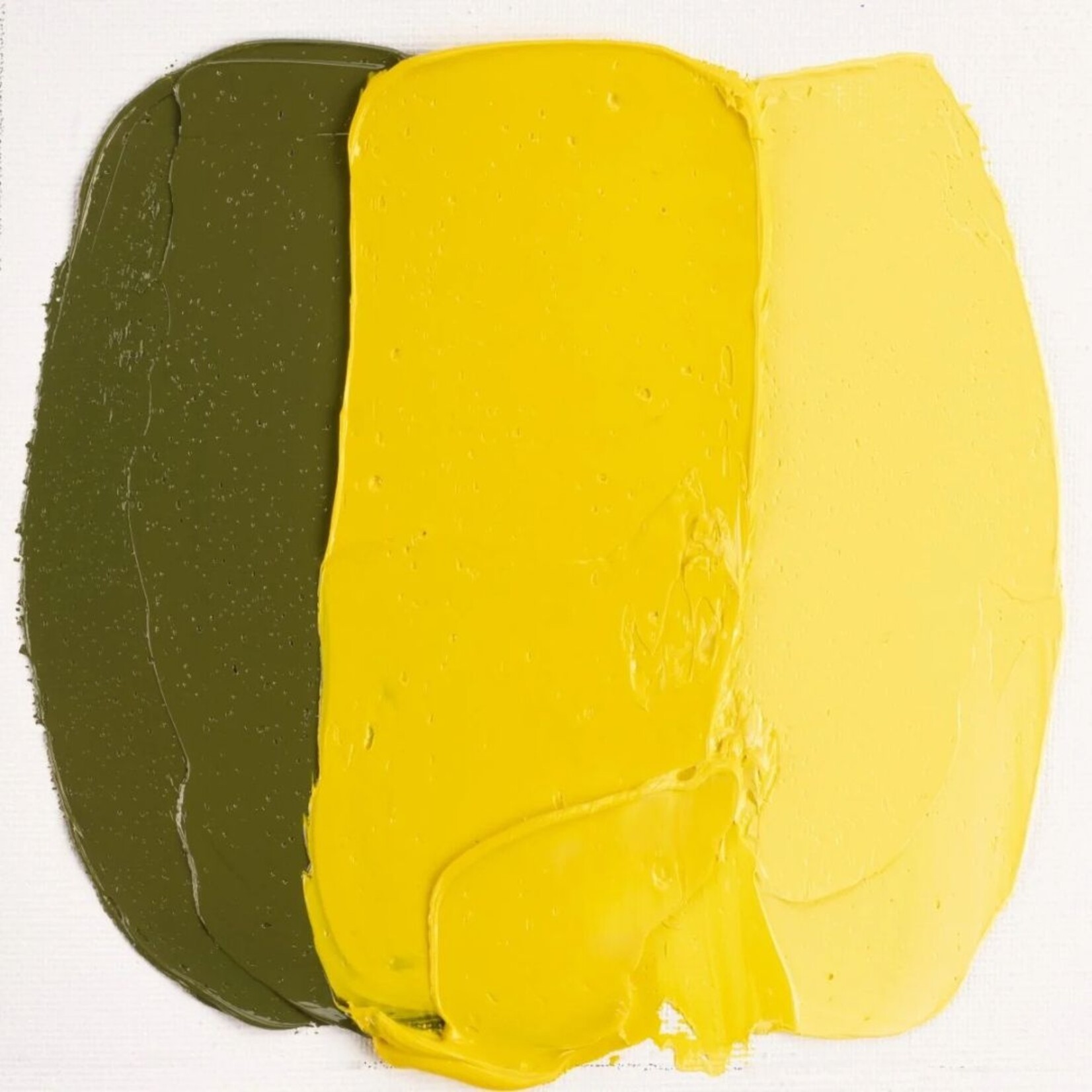 COBRA STUDY WATER MIXABLE OIL 40ML PERMANENT YELLOW LIGHT 283