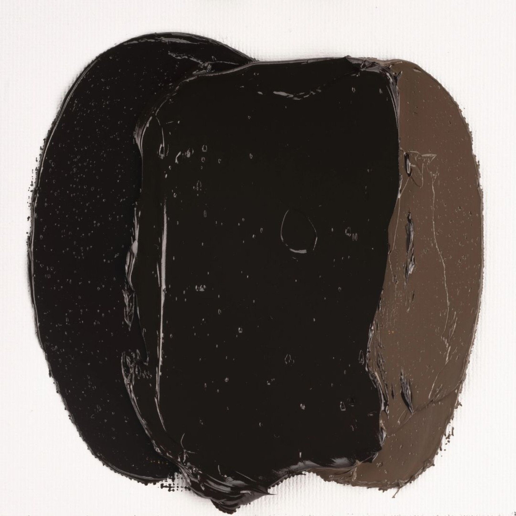 COBRA STUDY WATER MIXABLE OIL 40ML VANDYKE BROWN 403