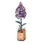 ROWOOD 3D WOODEN PUZZLE LILAC