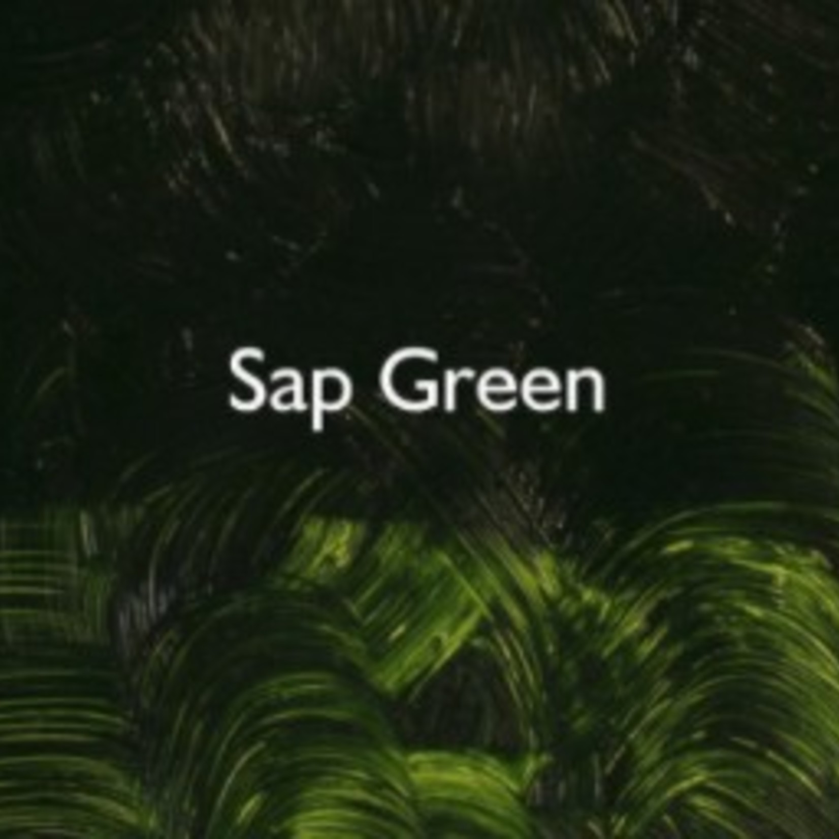 GAMBLIN GAMBLIN OIL 37ML SAP GREEN