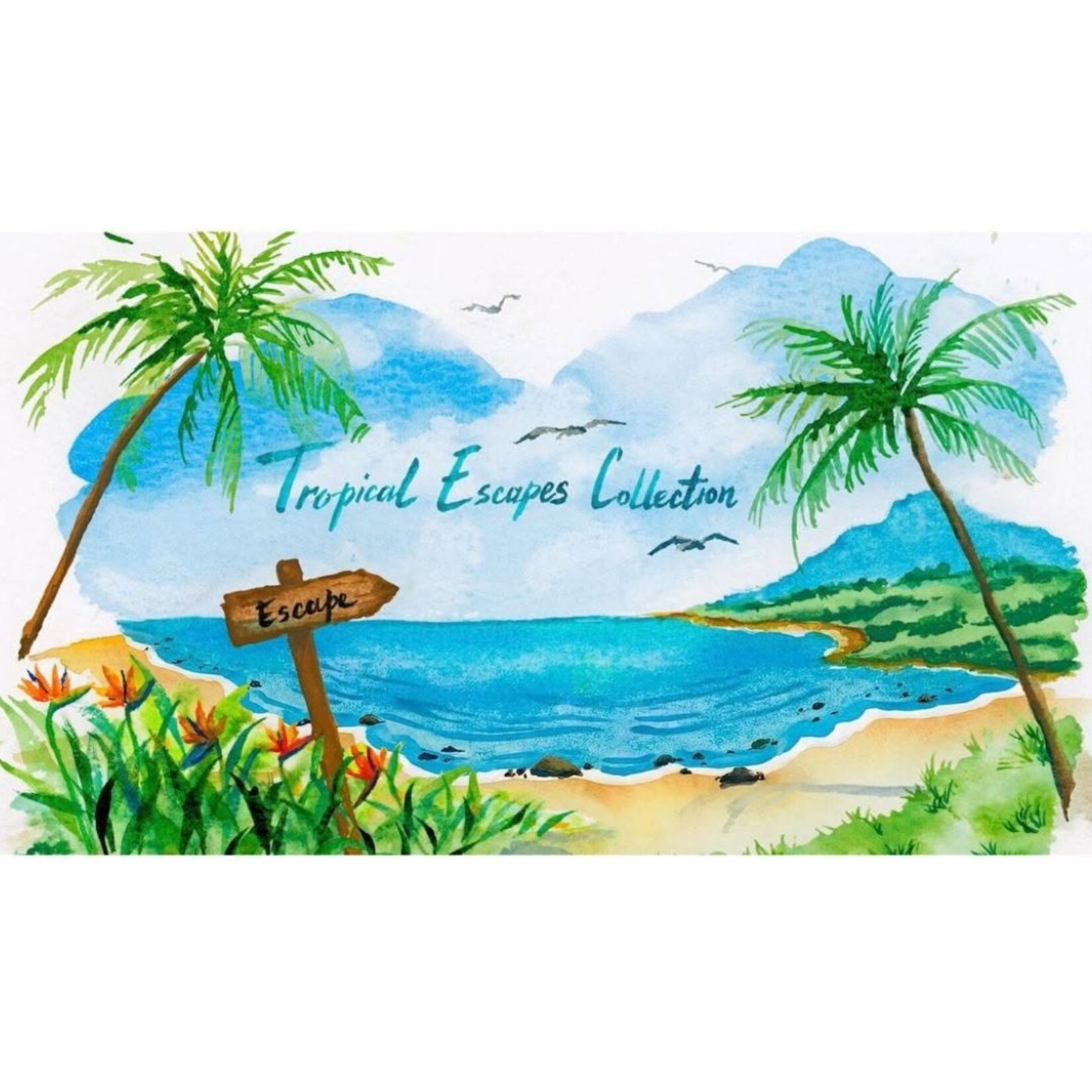 FABER CASTELL TROPICAL ESCAPE WATERCOLOUR SET/13