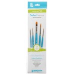 PRINCETON BRUSH SERIES 3750 SELECT SHORT HANDLE BRUSH #15 SET/5