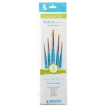 PRINCETON BRUSH SERIES 3750 SELECT SHORT HANDLE BRUSH #10 SET/5