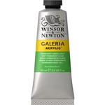 WINSOR NEWTON WINSOR & NEWTON GALERIA ACRYLIC 2OZ PERMANENT GREEN LIGHT