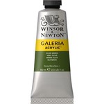WINSOR NEWTON WINSOR & NEWTON GALERIA ACRYLIC 2OZ OLIVE GREEN