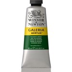 WINSOR NEWTON WINSOR & NEWTON GALERIA ACRYLIC 2OZ HOOKERS GREEN