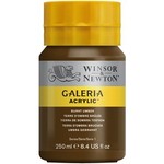 WINSOR NEWTON WINSOR & NEWTON GALERIA ACRYLIC 8OZ BURNT UMBER