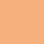 PRISMACOLOR BRUSH MARKER PB170 PEACH (FINAL SALE) (TBD)