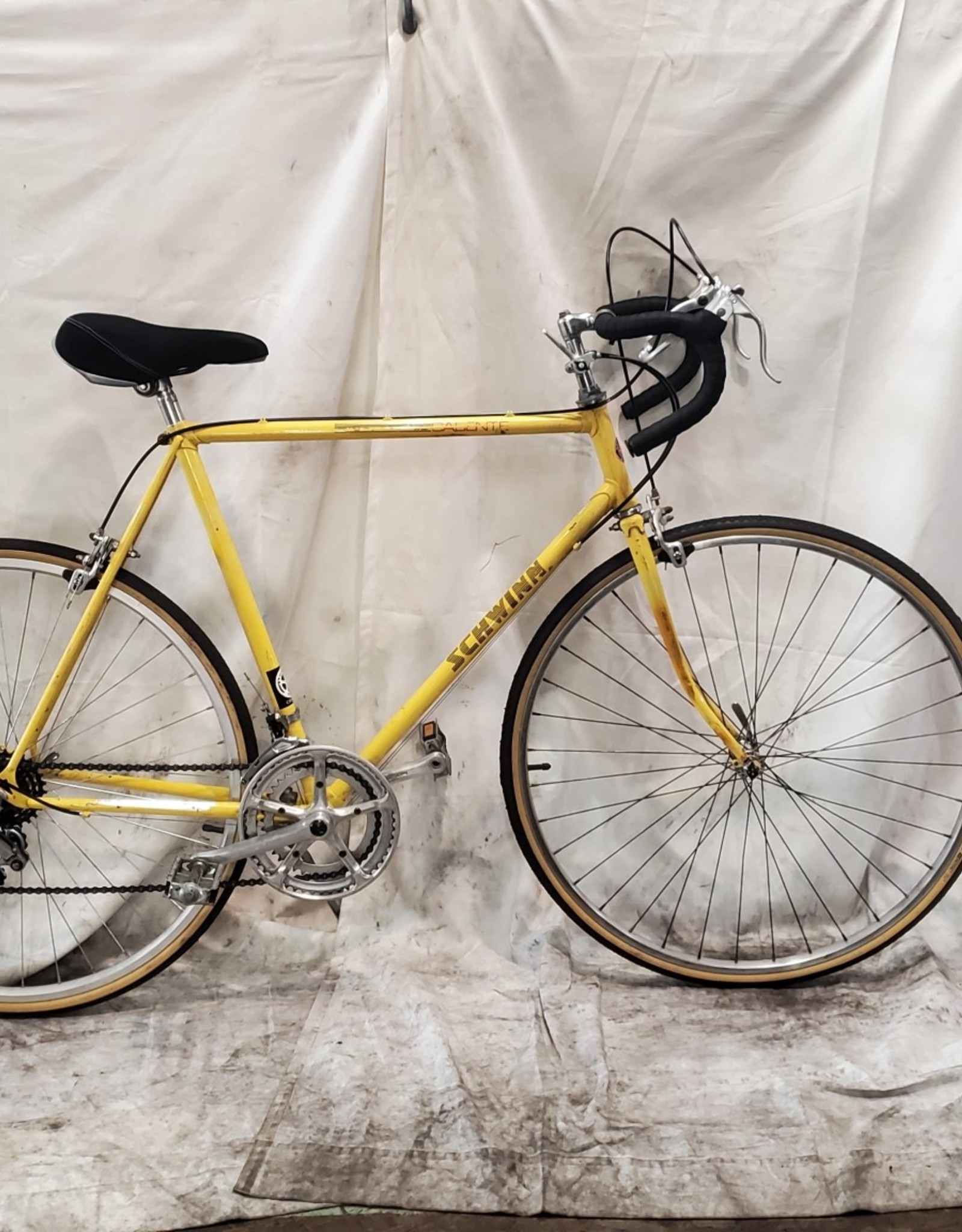 schwinn caliente yellow