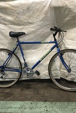 schwinn mirada